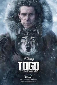 Того бесплатно